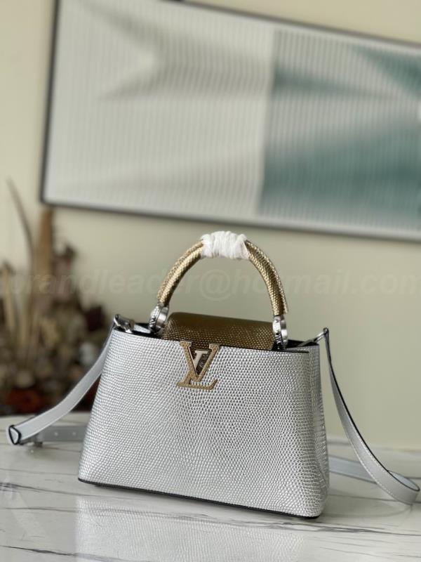 LV Handbags 2